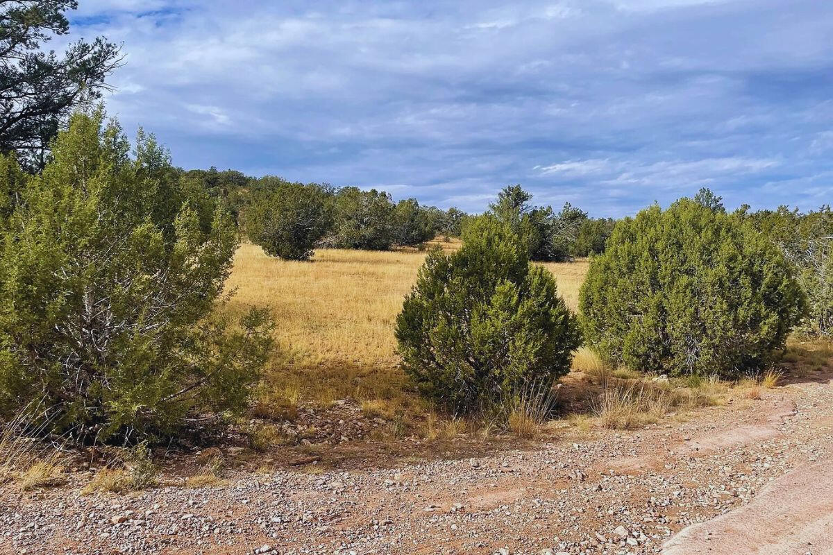 Next to Public Land 3 - Via De Oro Pkwy, Seligman, AZ 86337