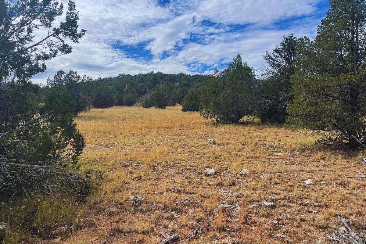 Next to Public Land 3 - Via De Oro Pkwy, Seligman, AZ 86337