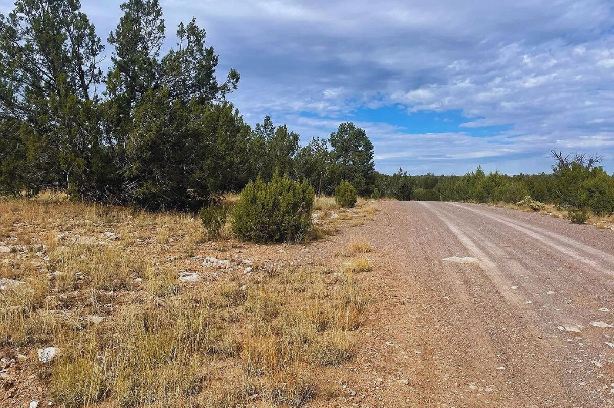 Next to Public Land 3 - Via De Oro Pkwy, Seligman, AZ 86337