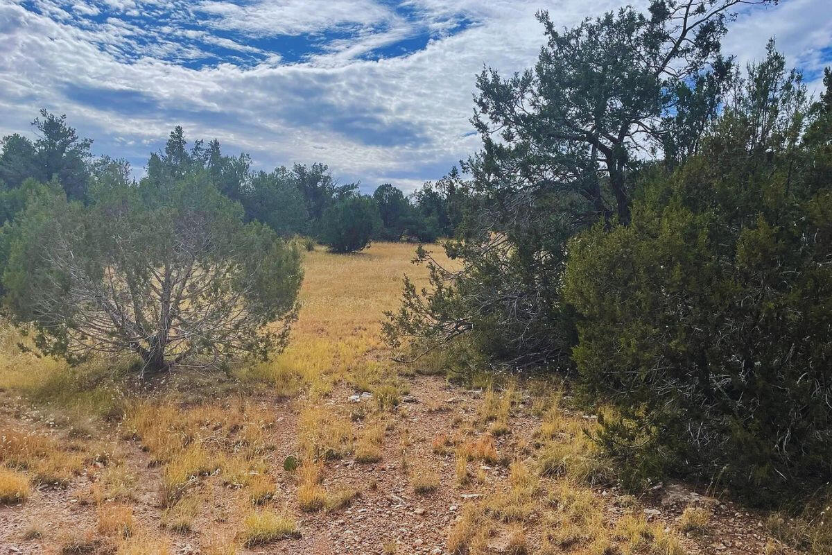Next to Public Land 3 - Via De Oro Pkwy, Seligman, AZ 86337